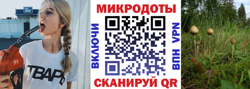 купить закладку  Салаир  Галлюциногенные грибы прущие грибы 